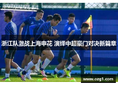 浙江队激战上海申花 演绎中超豪门对决新篇章