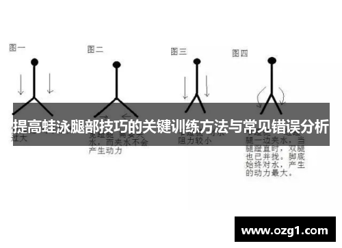 提高蛙泳腿部技巧的关键训练方法与常见错误分析