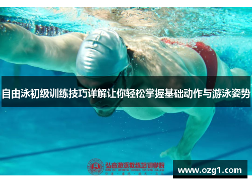自由泳初级训练技巧详解让你轻松掌握基础动作与游泳姿势
