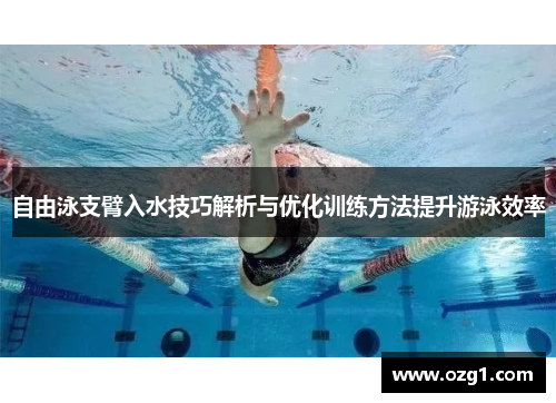 自由泳支臂入水技巧解析与优化训练方法提升游泳效率